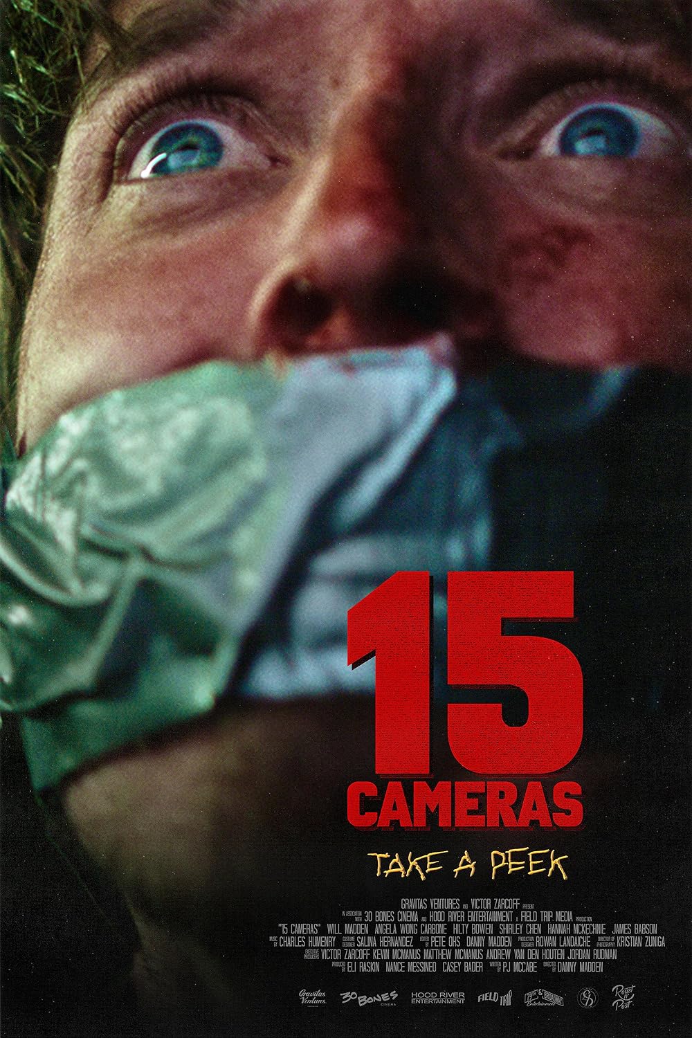 15 Cameras FRENCH WEBRIP LD 720p 2023