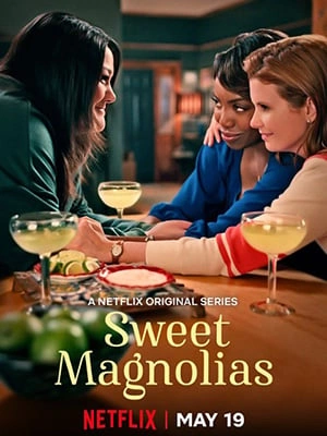 A l'ombre des magnolias Saison 3 FRENCH HDTV