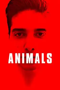 Animals FRENCH DVDRIP x264 2022