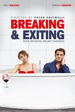 Breaking & Exiting FRENCH BluRay 720p 2021