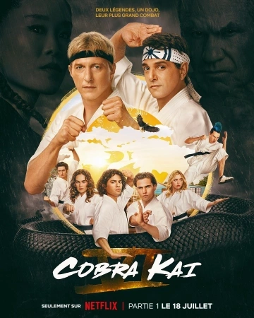 Cobra Kai S06E08 VOSTFR HDTV 2024