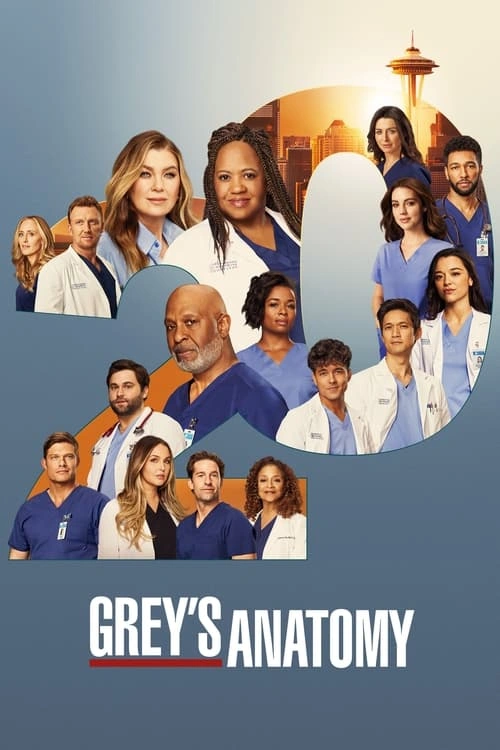 Grey's Anatomy S20E01 MULTI HDTV 1080p 2024