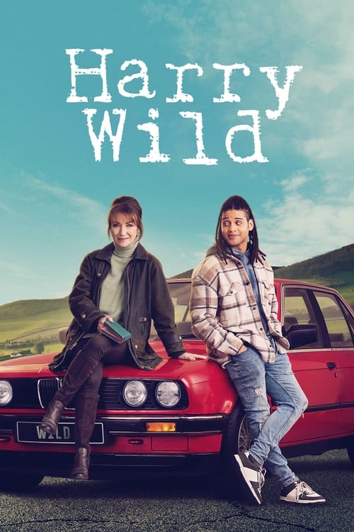 Harry Wild S03E03 FRENCH HDTV 1080p 2024