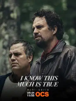 I Know This Much Is True S01E03 FRENCH HDTV