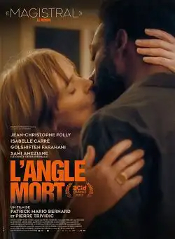 L'Angle Mort FRENCH WEBRIP 1080p 2020