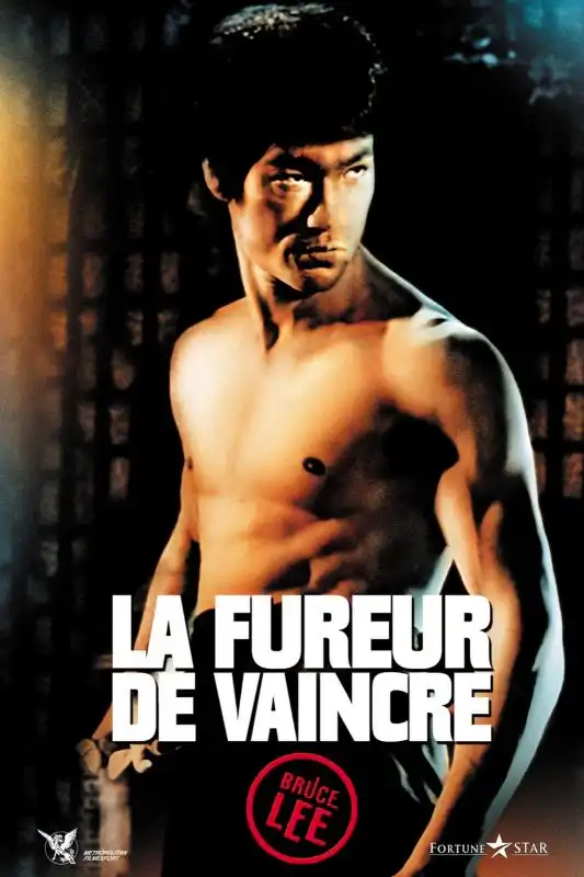 La Fureur De Vaincre TRUEFRENCH DVDRIP 1972