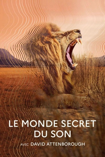 Le monde secret du son avec David Attenborough VOSTFR S01E03 HDTV 2024