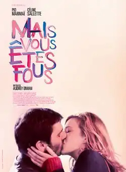 Mais vous êtes fous FRENCH WEBRIP 1080p 2019