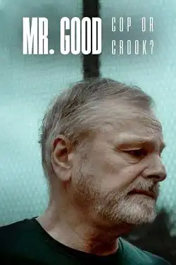 Mr. Good : Flic ou baron ? Saison 1 FRENCH HDTV