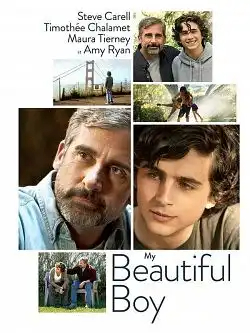 My Beautiful Boy TRUEFRENCH DVDRIP 2018