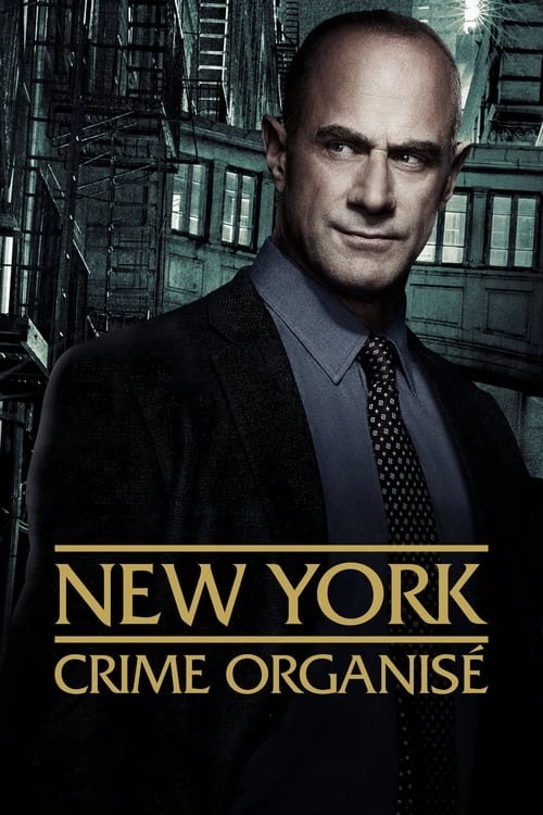 New York : Crime Organisé S04E09 MULTI HDTV 1080p 2024