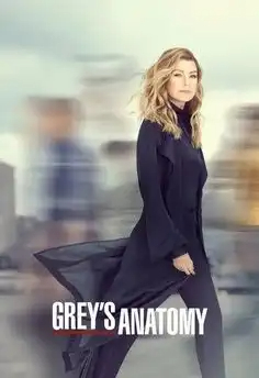 pègreys Anatomy S16E08 VOSTFR HDTV