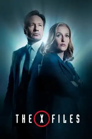 The X-Files Saison 1 MULTI WEBRIP 1080p HDTV