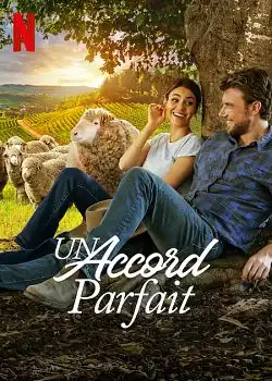 Un accord parfait FRENCH WEBRIP 720p 2022